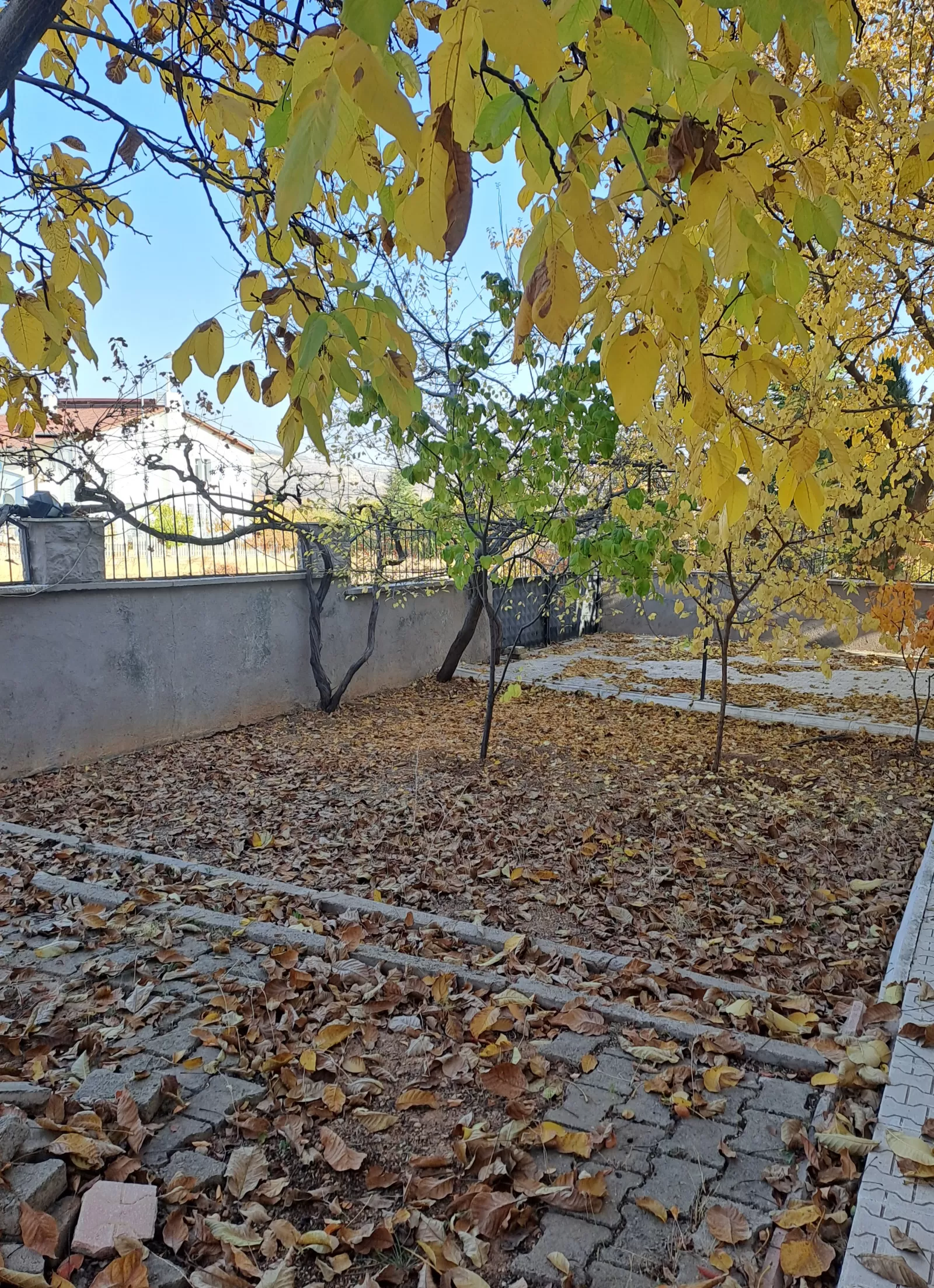 Manşet: BİR HÜZÜN MEVSIMI YAPRAK DÖKÜMÜ